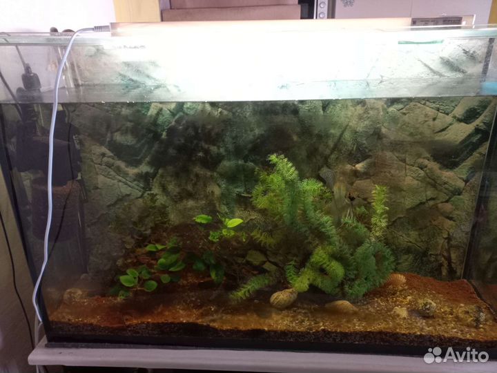 Аквариум