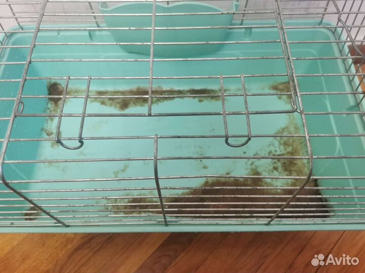 Клетка для грызунов большая