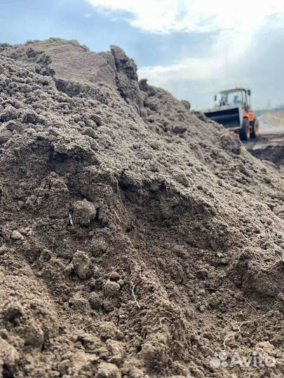 Земля чернозем