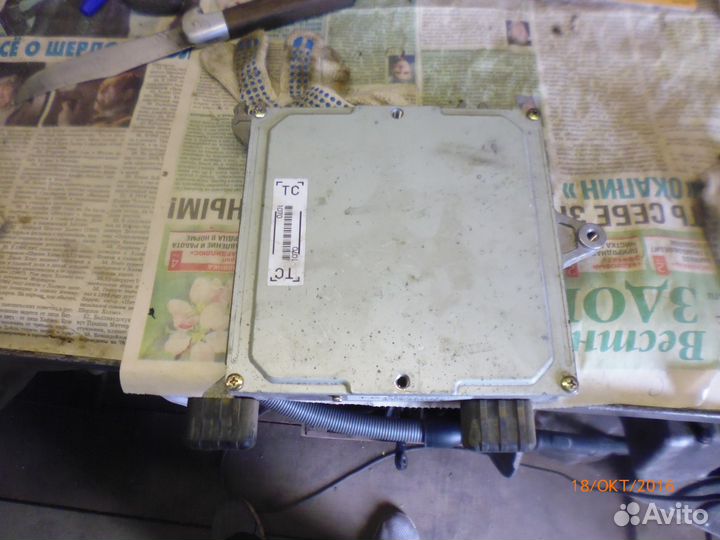 Хонда црв 1 мозги