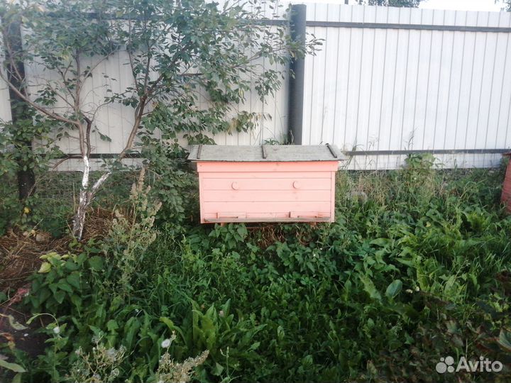 Подам ульи