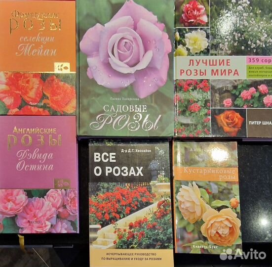 Книги и альбомы про розы. роза