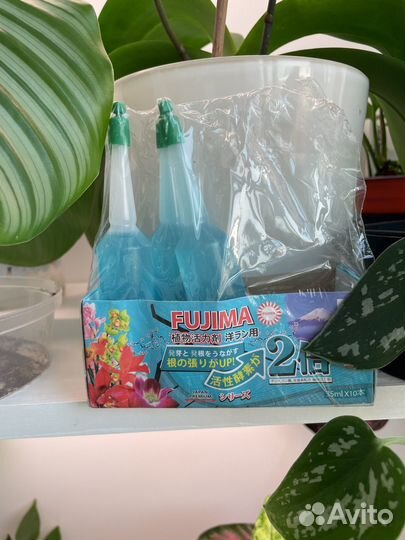 Удобрение японское для орхидей, суккулентов