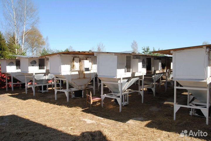 Мясо Кролика.доставка бесплатно