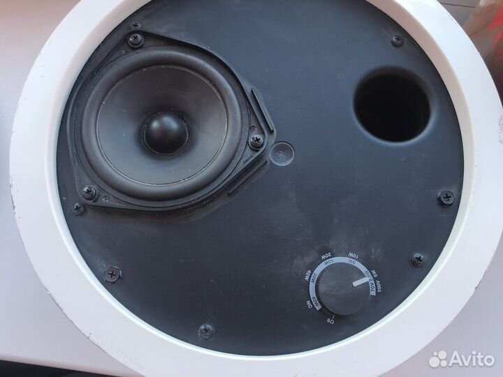 Динамик Bose DS 40F Loudspeaker