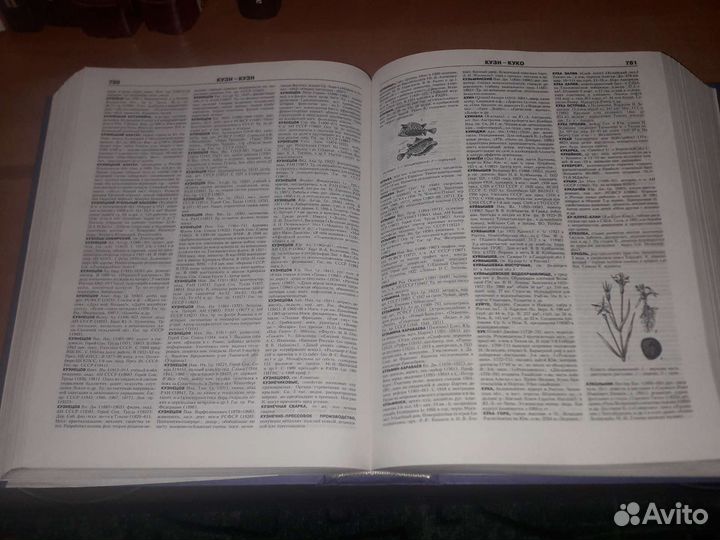 Книги энциклопедия