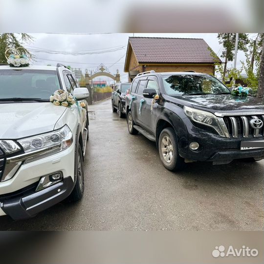 Украшения для свадебного кортежа