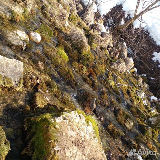 Индивид. тур вых. дня. Святые кустики.Красный ключ