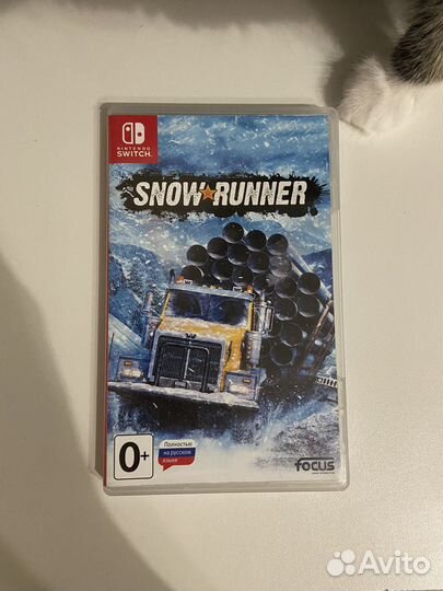 Snowrunner Nintendo switch