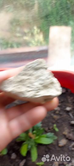 Ценный известковый камень минерал сувенир