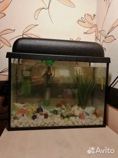 Аквариум