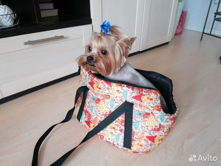 Сумка переноска для маленьких собак