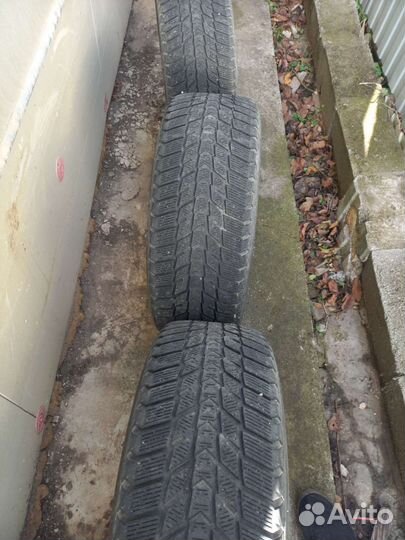 Nexen Winguard Ice Plus 205/55 R16