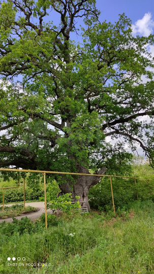 Участок 25 сот. (ИЖС)