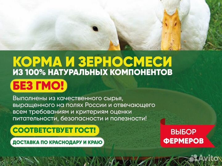 Жмых подсолнечника