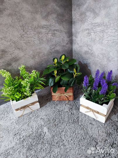 Искусственные растения, декоративная зелень