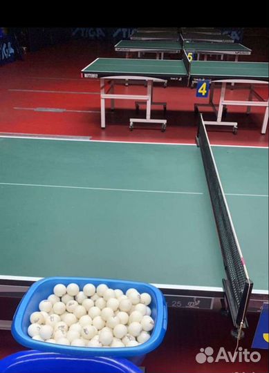 Настольный теннис для детей и взрослых