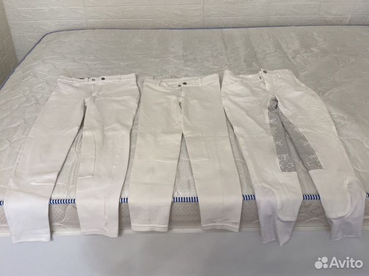 Конные бриджи белые