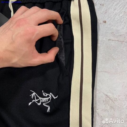 Штаны Arcteryx y2k