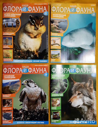 Наша флора и фауна