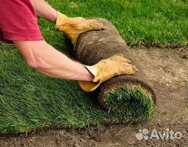 Гидропосев