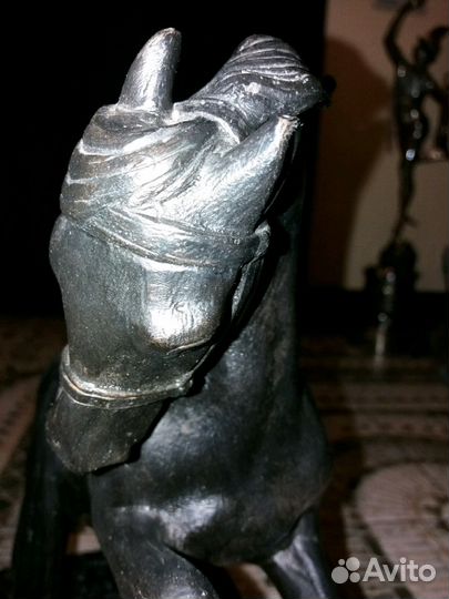 З.д. Касли конь