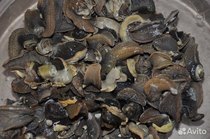 Филе виноградных улиток