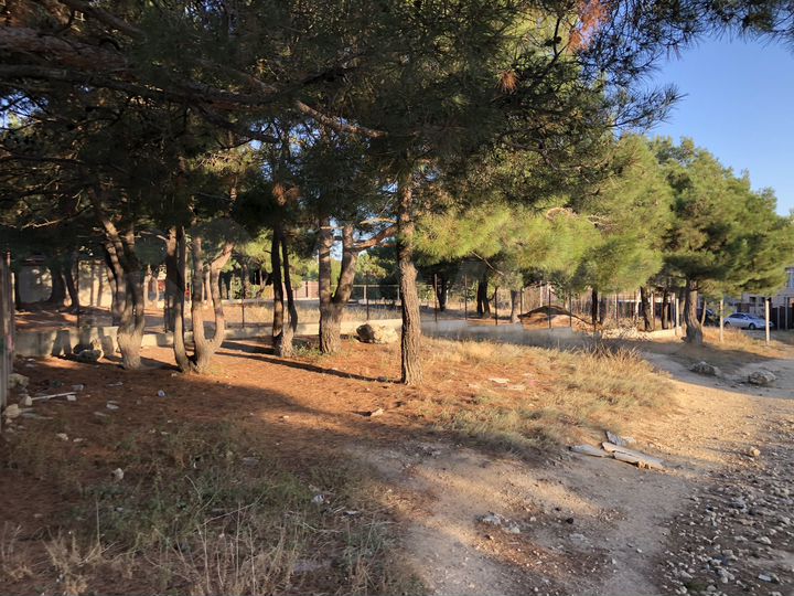 Участок 10 сот. (ИЖС)