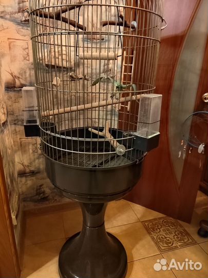 Клетка для крупного попугая