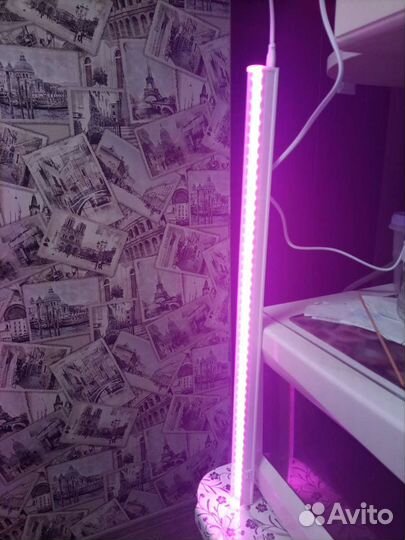 Фитолампа для растений