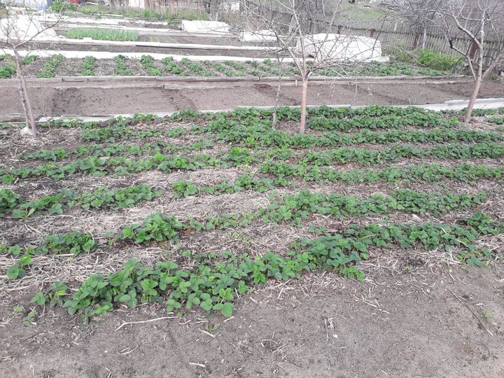 Дача 23 м² на участке 13 сот.