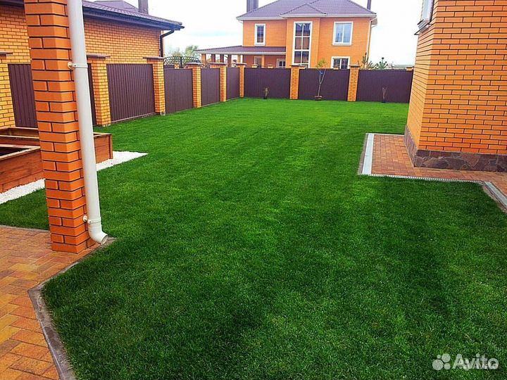 Рулонный газон под ключ от 100 м2