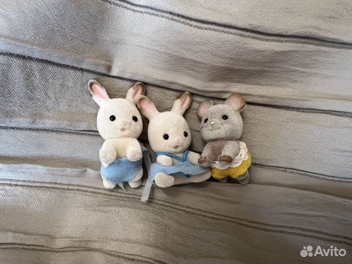 Сельваниан фемелис