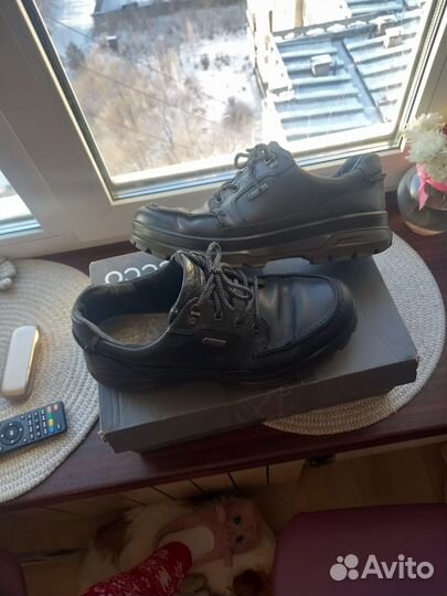 Зимние ботинки экко трек