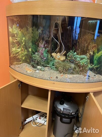 Аквариум Juwel 180 литров