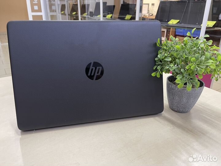 Отличный ноутбук HP/Ryzen/8GB/SSD/Как новый