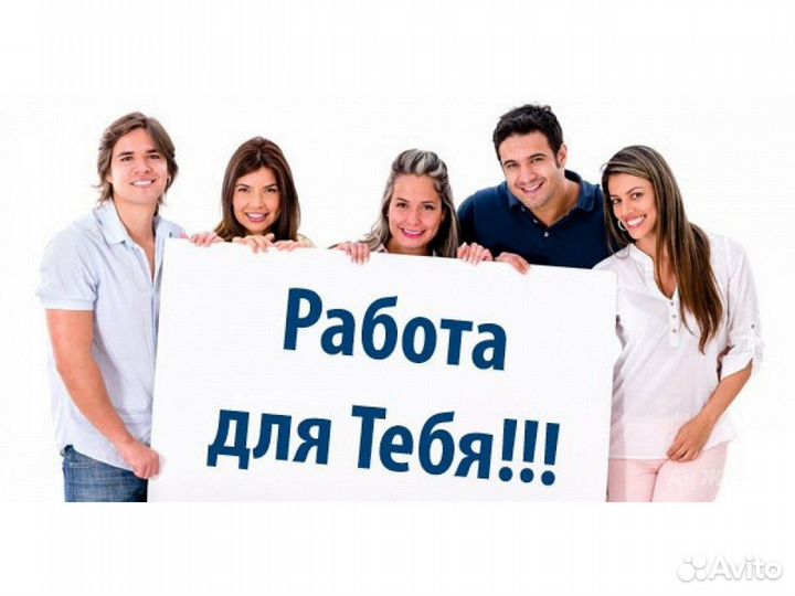 Работа Разнорабочий Вып. еженед. /Друж. коллектив