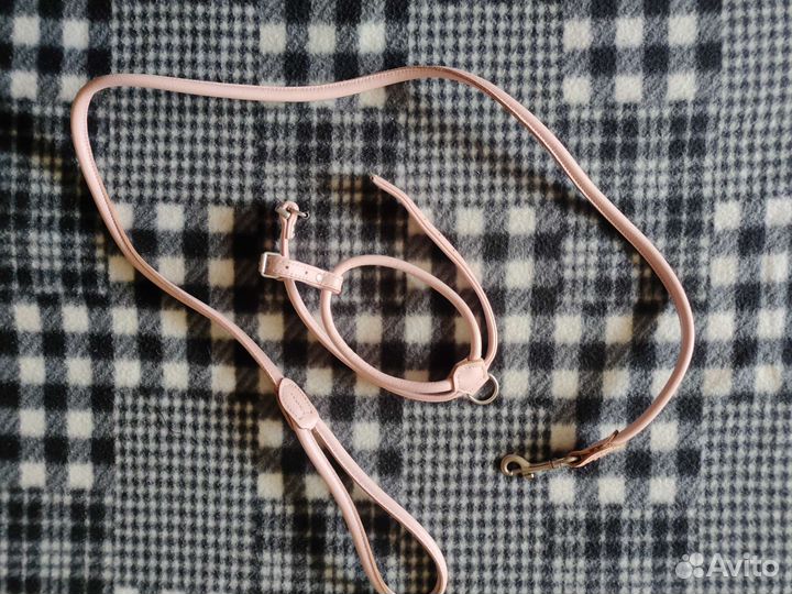 Амуниция для собак