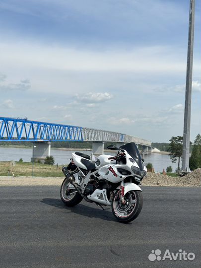 Suzuki tl1000s