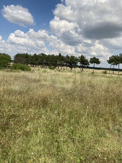 Участок 7,5 сот. (СНТ, ДНП)