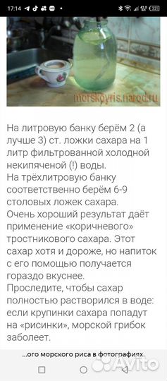 Индийский морской рис, рисовый гриб, водный кефир