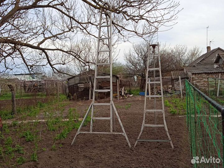 Лестницы строительные и садовые