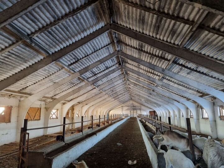 Участок 15 га (СНТ, ДНП)