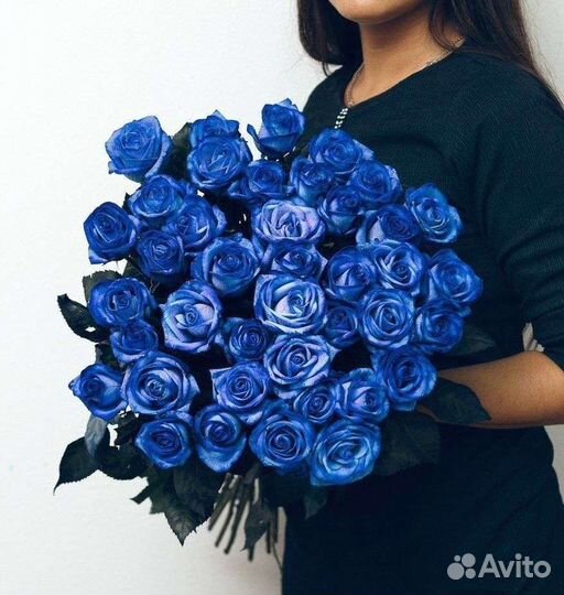 Синие розы 21 роза