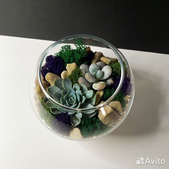 Флорариум шар