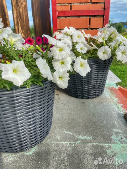 Кашпо из ротанга