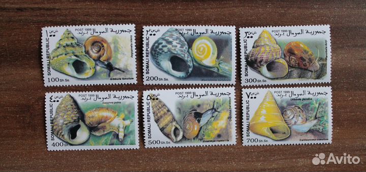 Сомали. 1999. Фауна. Улитки