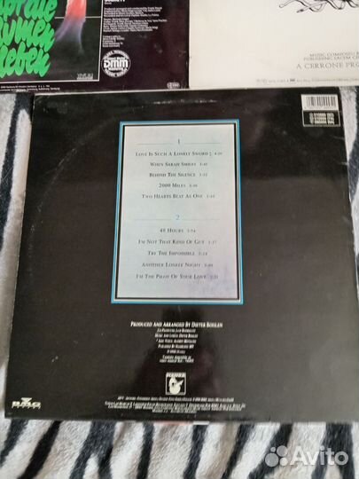 Виниловые пластинки