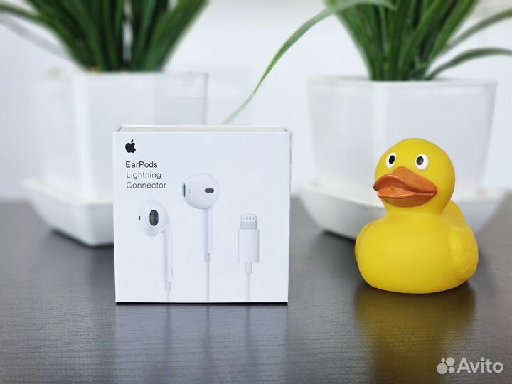 Apple EarPods (Lightning)