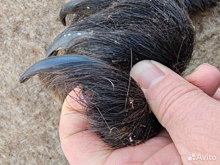 Когти медведя имитация